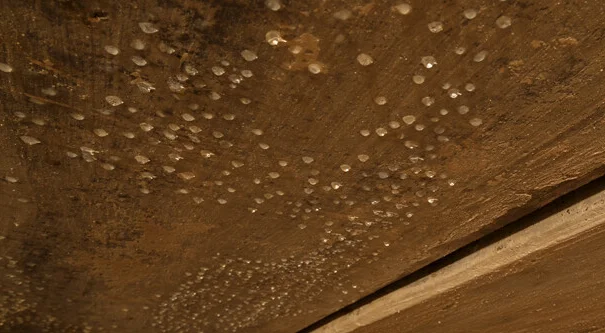 vattenfläckar på insidan av taket på en vind som visar tecken på fuktskador